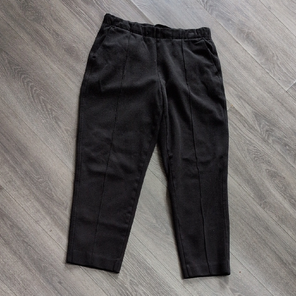 Everlane Black Tailored Cropped Pants